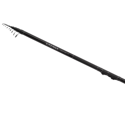 Shimano Catana Static Bait Stellfischrute TE 750